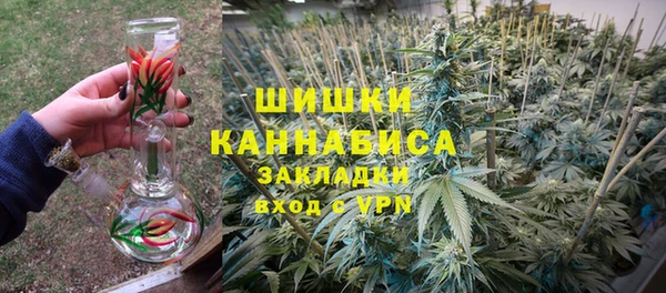 дживик Баксан